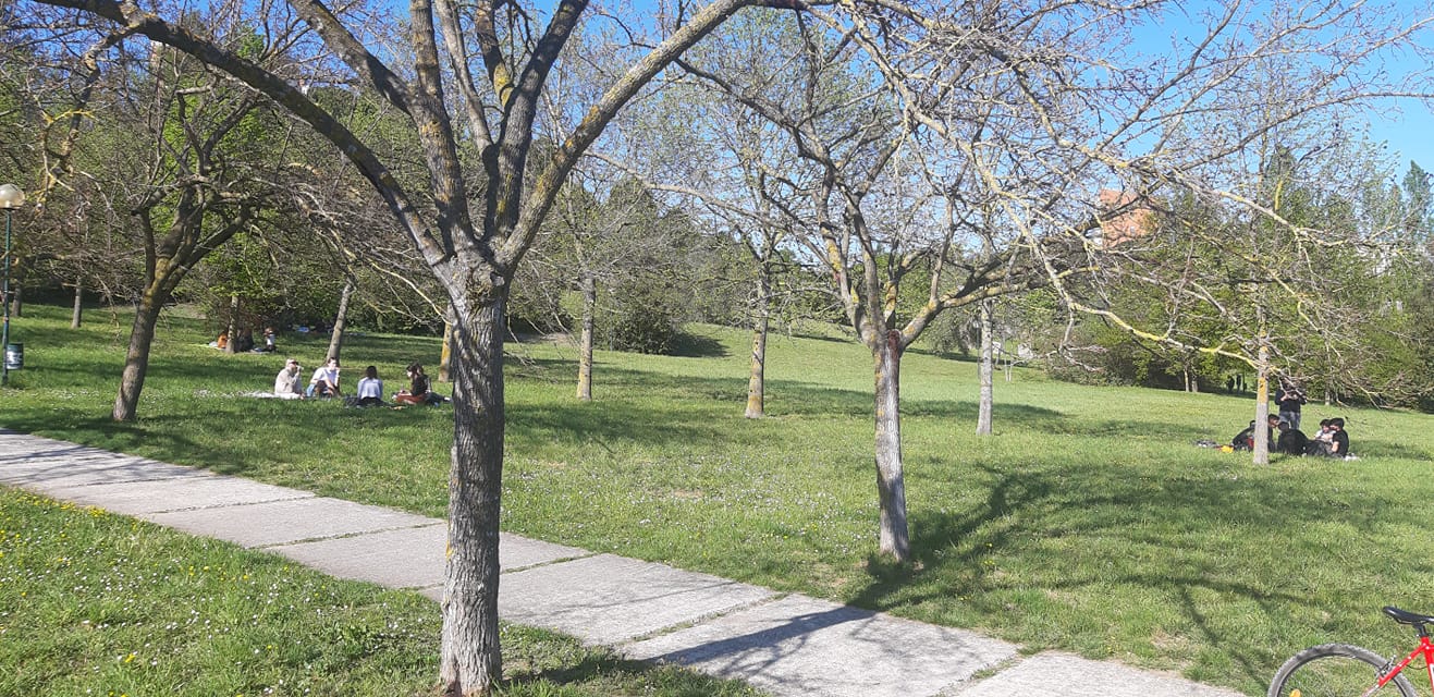 Viale del Parco