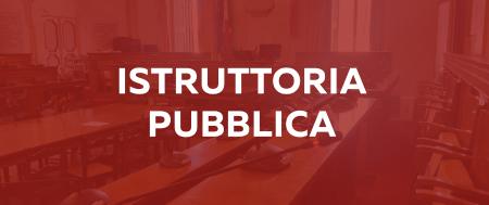 Istruttoria pubblica